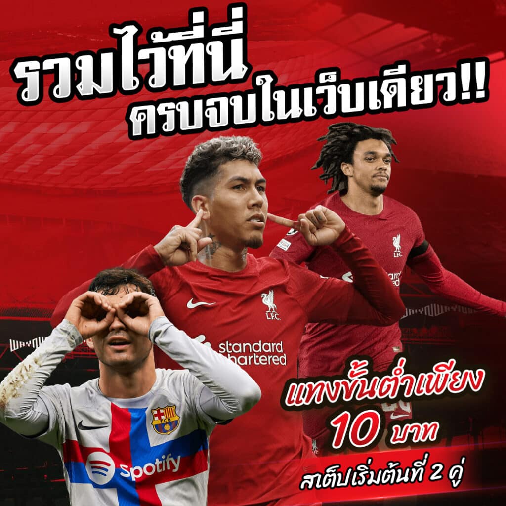 bot แทงบอล